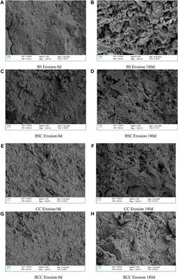 Research on the resistance of cement-based materials to sulfate attack based on MICP technology